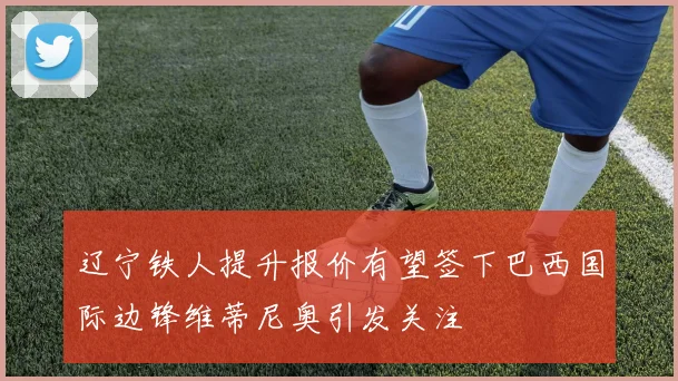 辽宁铁人提升报价有望签下巴西国际边锋维蒂尼奥引发关注