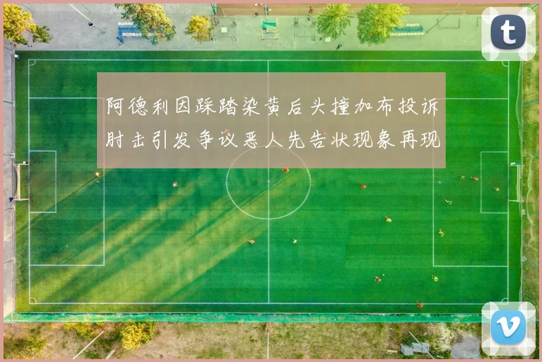 阿德利因踩踏染黄后头撞加布投诉肘击引发争议恶人先告状现象再现