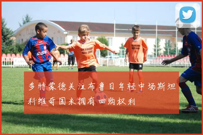 多特蒙德关注布鲁日年轻中场斯坦科维奇国米拥有回购权利